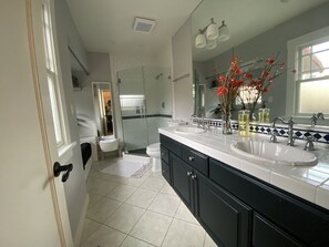 Shower, hair dryer, bidet, towels