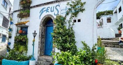 MIRADORES DEL PARAISO