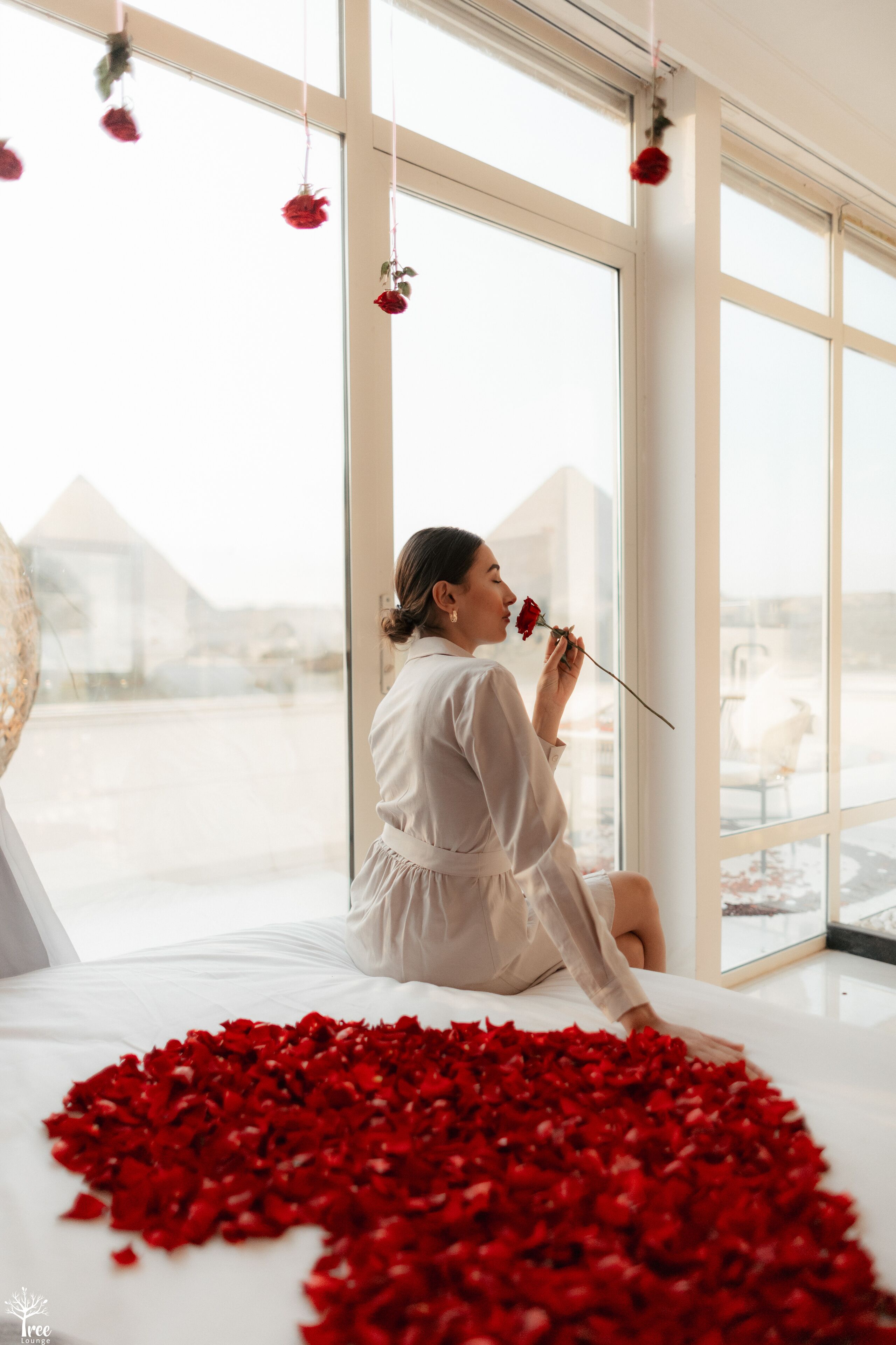 Foto - sphinx pyramids view