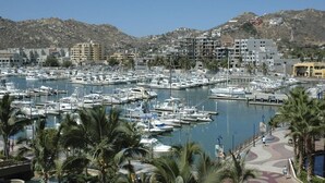 Un puerto deportivo con numerosas embarcaciones amarradas, rodeado de edificios y palmeras.