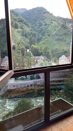 Vista desde la propiedad