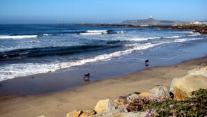 Una playa con olas, un perro y rocas.