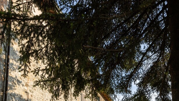 A stone building with a large arched entrance, a paved driveway, and a well-maintained lawn. - Agriturismo I Tre Colli  (Solignano)