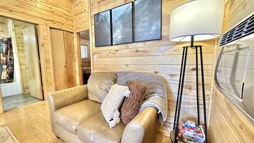Smart TV, chimenea y reproductor de DVD