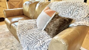 A leather sofa with a textured throw blanket and a brown pillow. - Stoney Creek | Peaceful Cabin, Couples Retreat (Overgaard)