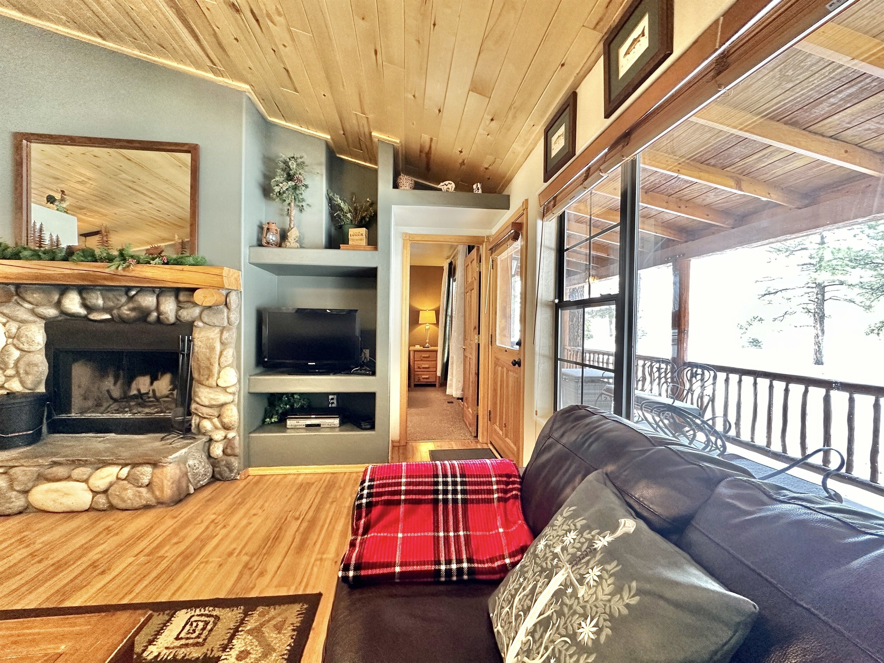 Smart TV, fireplace, DVD player, books