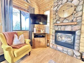 Smart TV, fireplace, DVD player, books