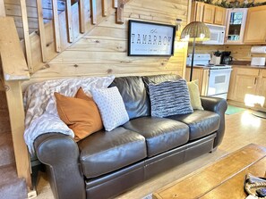 Smart TV, fireplace, DVD player, books