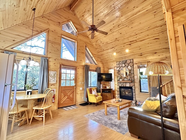 Smart TV, fireplace, DVD player, books