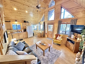 Smart TV, fireplace, DVD player, books