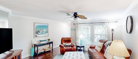 تلفزيون، مشغل دي في دي