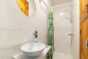 Shower, hair dryer, bidet, towels
