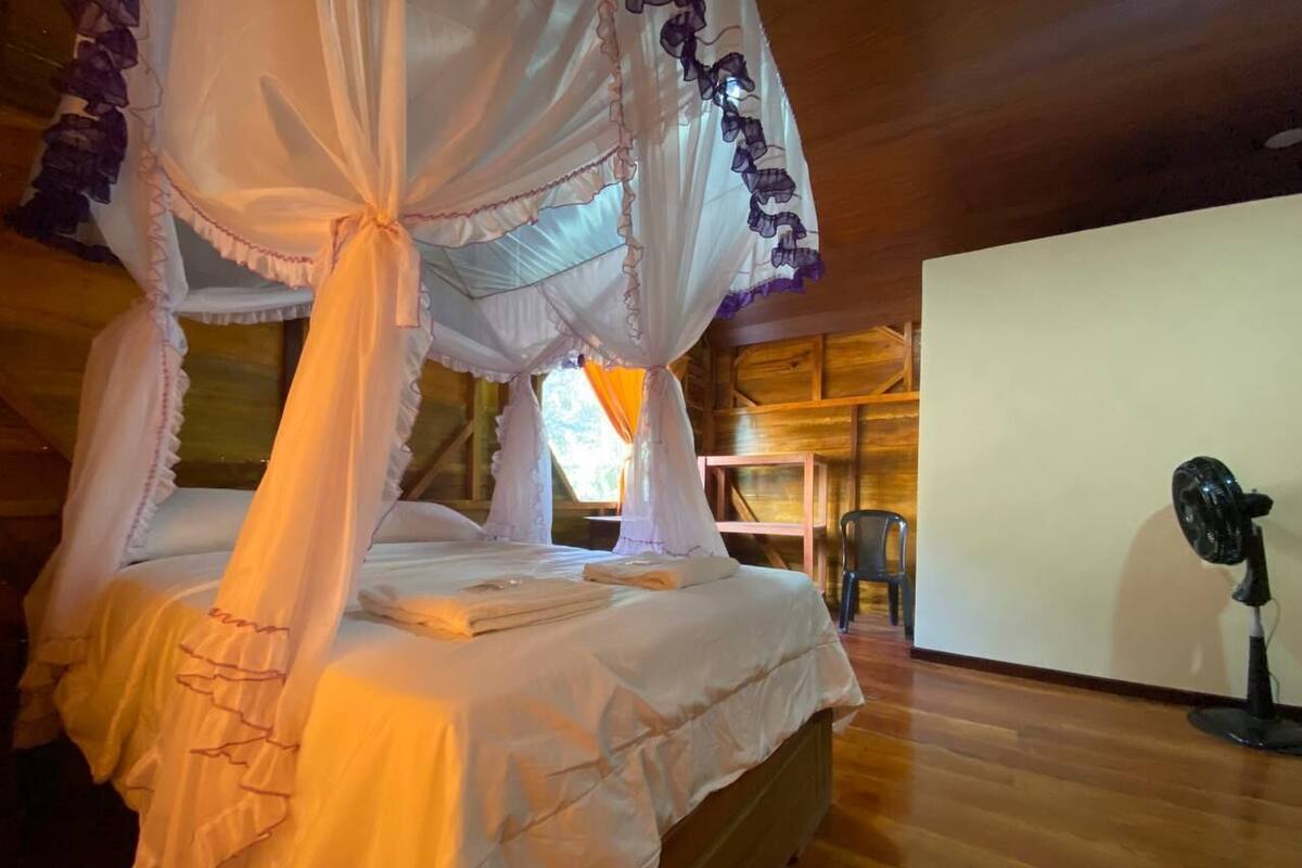 A room with a bed under a canopy, a fan, and a view of the outdoors.