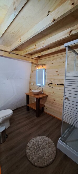 Shower, towels, toilet paper