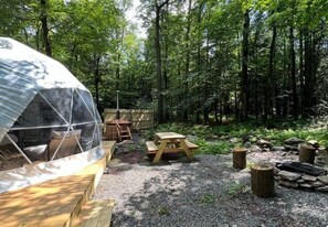 Escape to a serene forest retreat surrounded by tall trees and tranquil surroundings.
