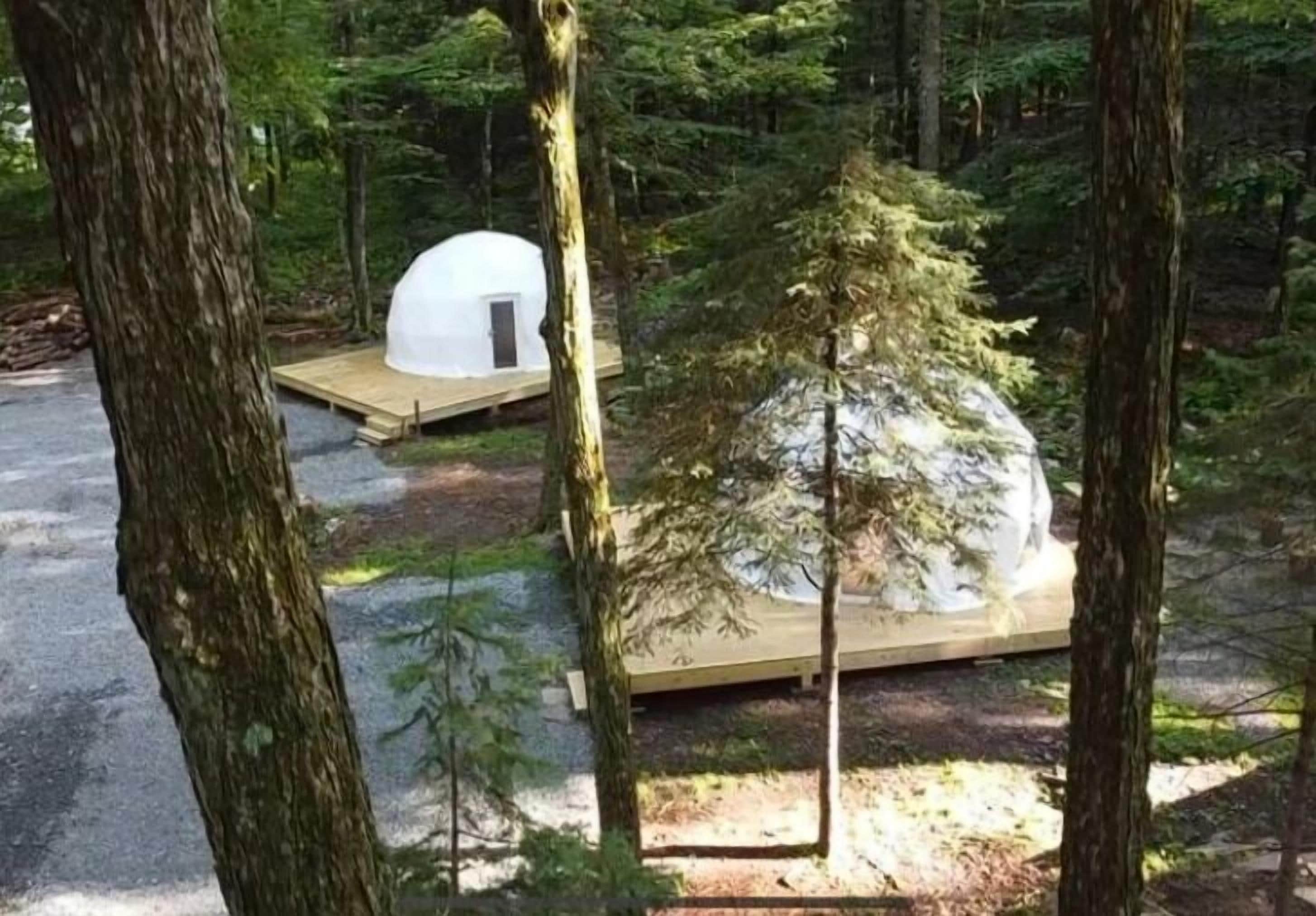 A dome-shaped tent-like structure in a forested area with a wooden platform.