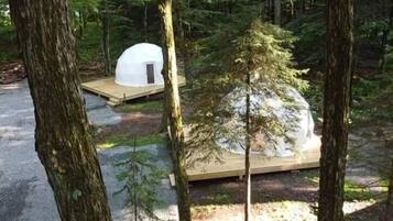 A dome-shaped tent-like structure in a forested area with a wooden platform.