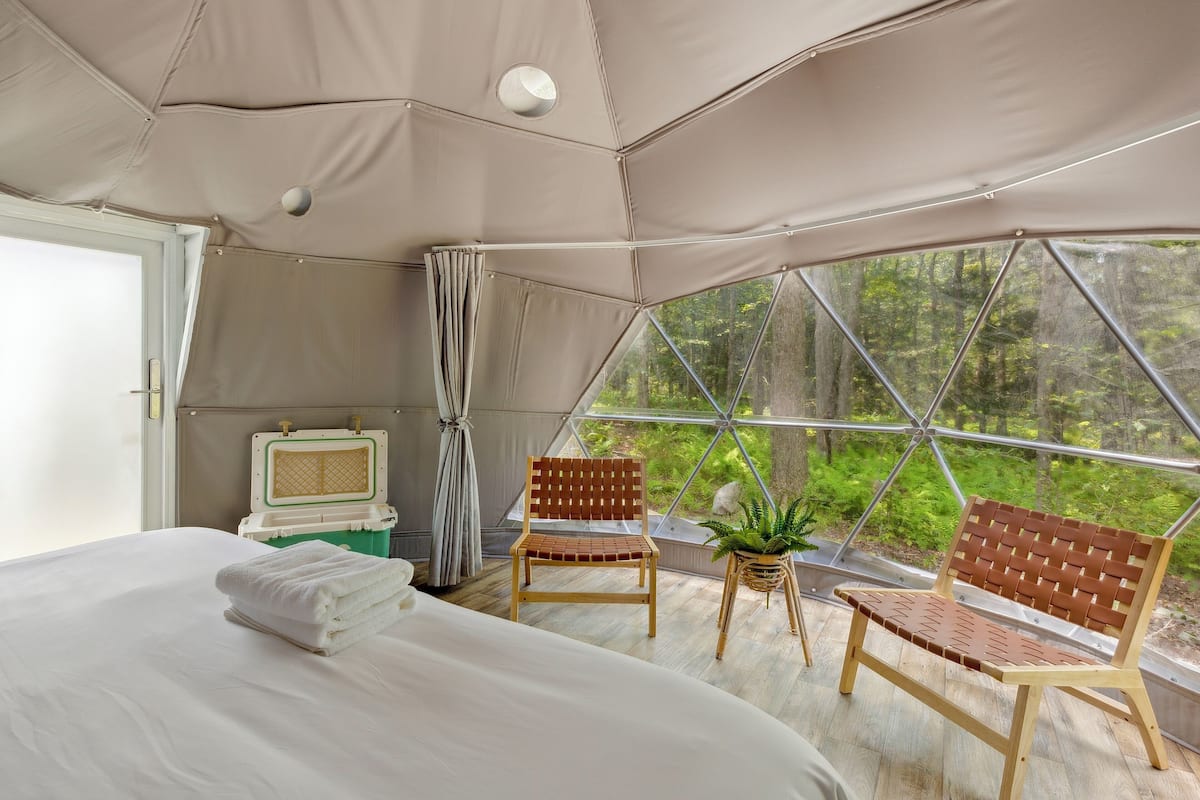 A tented room with a bed, two chairs, a small table with a plant, and a window with a forest view.