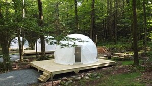A dome-shaped tent with a wooden platform and a door, surrounded by trees in a forest setting. - Ferncrest Campground (Greentown)