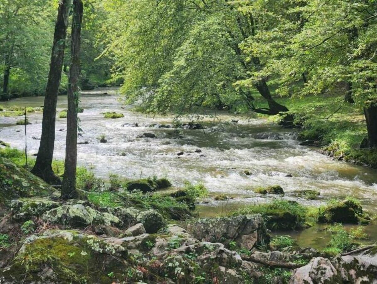 Imagen de perfil del propietario o de la propietaria