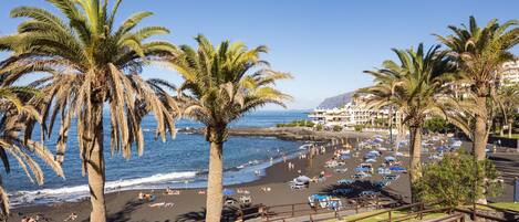 بالقرب من الشاطئ