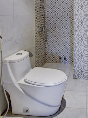 Shower, towels, toilet paper