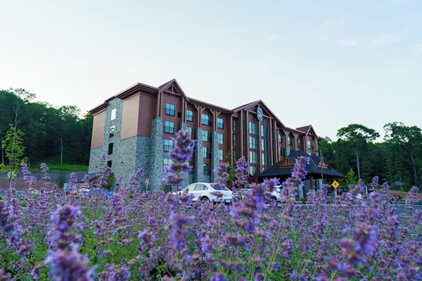 Exterior