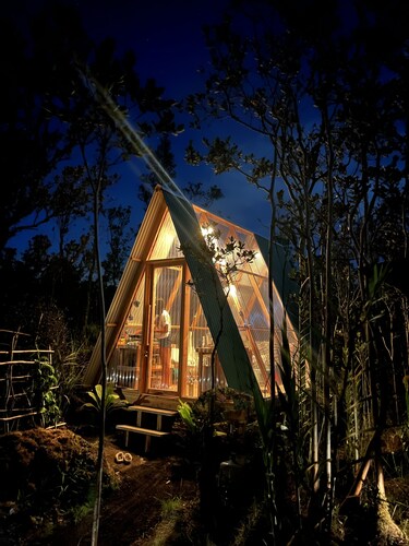 Star Gazer - Tiny House