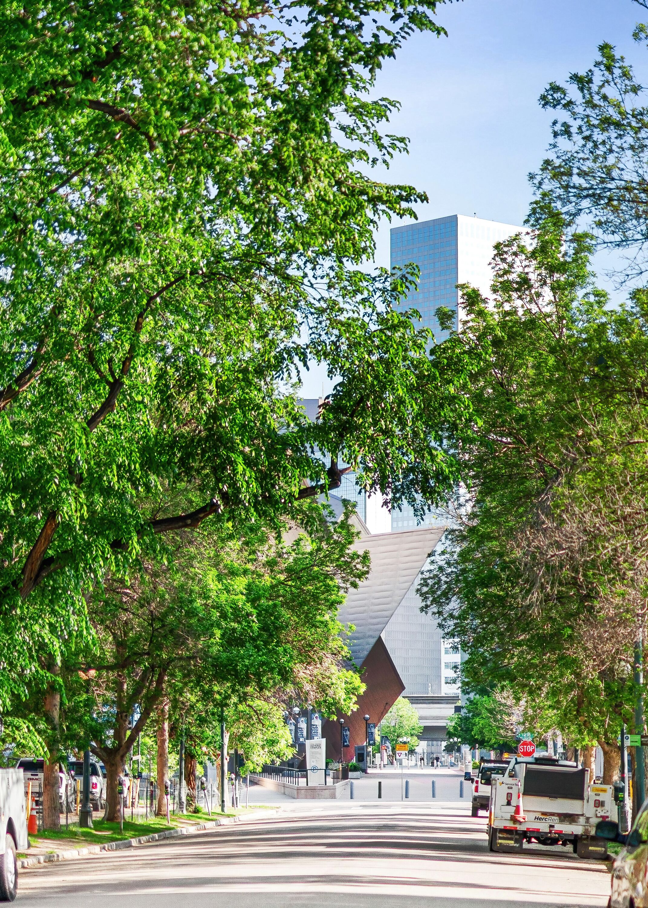 Une rue bordée d’arbres, avec un bâtiment moderne en arrière-plan.