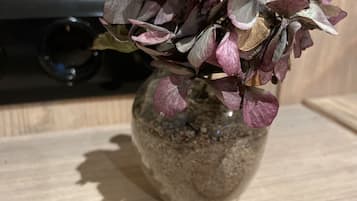 内部细节