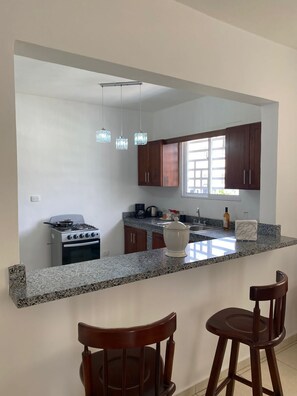 Standard Apartment | Private kitchen | Full-size fridge, oven, coffee/tea maker, blender - Apartamentos LC (La Romana)