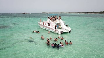 Paseos en bote