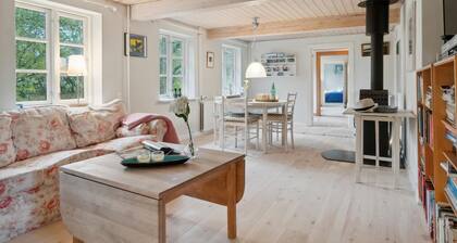 3 bedroom lovely home in østermarie