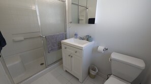 Un bagno con doccia, WC, lavandino e specchio.