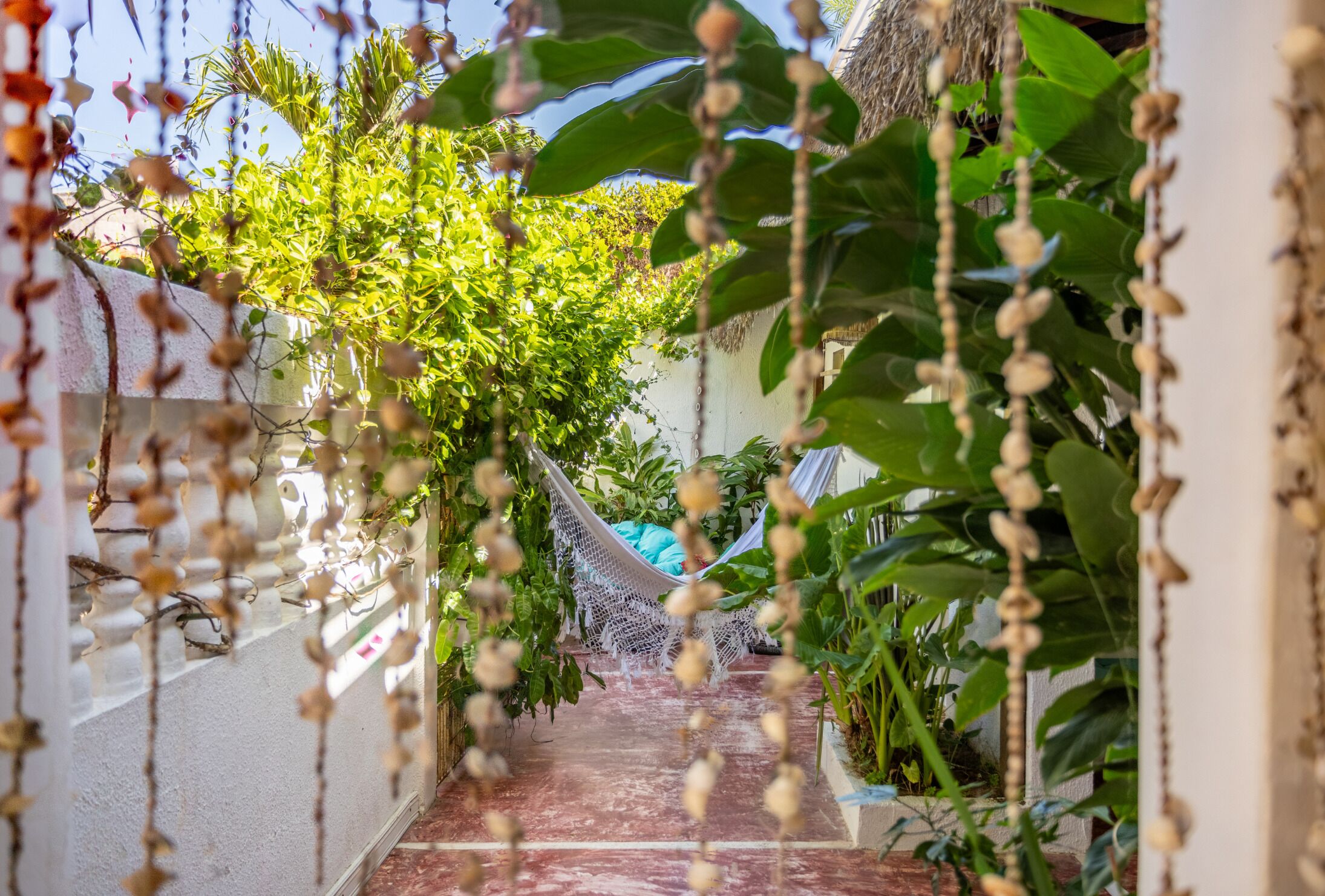A narrow pathway leading to a hammock in a lush, green garden area with a white wall on one side.