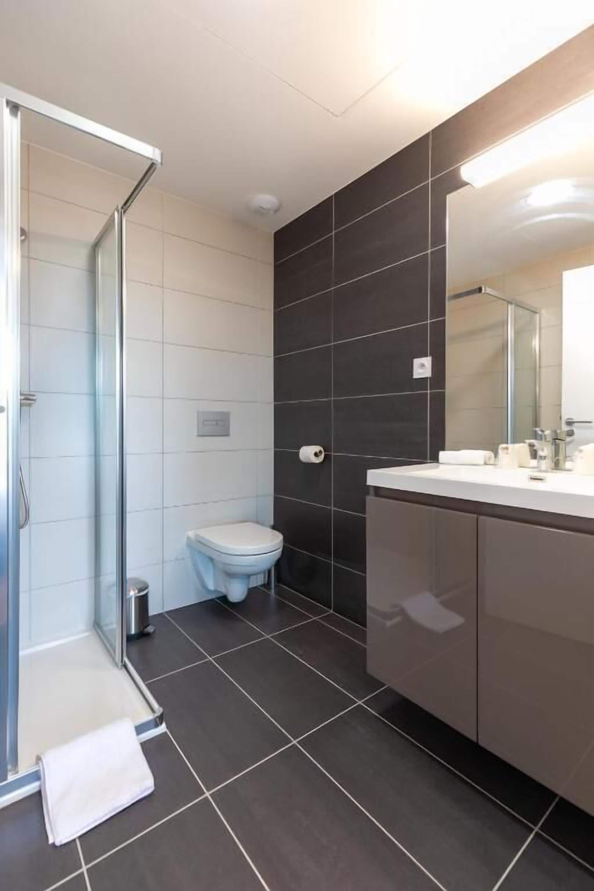 A modern bathroom with a glass shower enclosure, a toilet, and a vanity with a mirror.