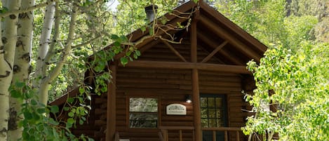 Cabin, Multiple Beds