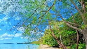 海灘