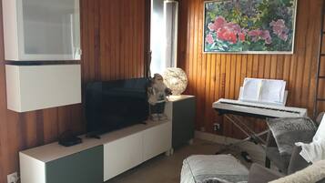 Télévision, cheminée