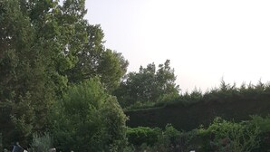 Ein Poolbereich mit Liegestühlen, einer Holzterrasse und einem umzäunten Garten.