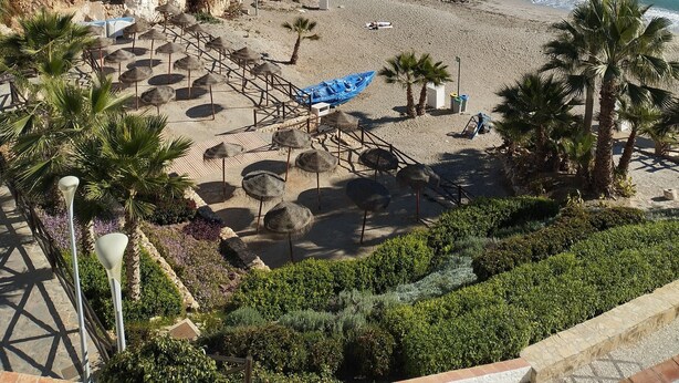 Ein Strand mit Palmen, wolkenlosem, blauem Himmel und Blick auf das Meer.