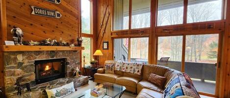 Smart TV, chimenea, reproductor de DVD y libros