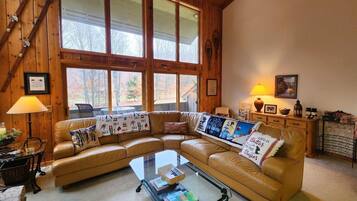 Smart TV, fireplace, DVD player, books