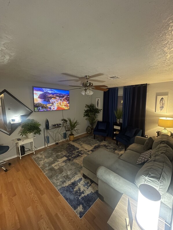 Smart TV, books, computer monitors