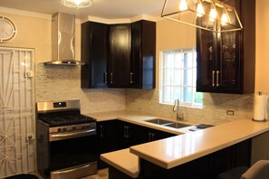 A modern kitchen with dark cabinetry, a stainless steel stove, a window, and a light fixture. - Soleil Palm View Villa (St. Ann's Bay)