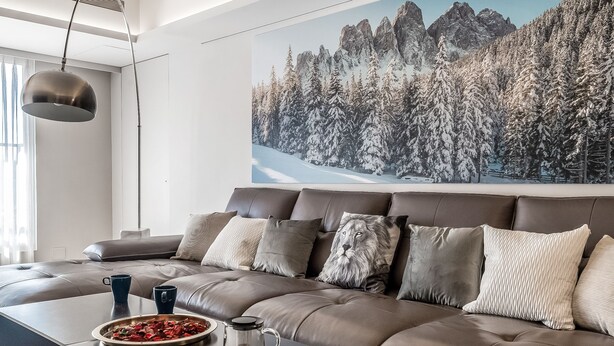 Un salon moderne avec un canapé en cuir marron, une table basse sur laquelle se trouve un plateau de baies rouges et un pichet en verre, ainsi qu’un grand tableau représentant un paysage de montagne enneigé.