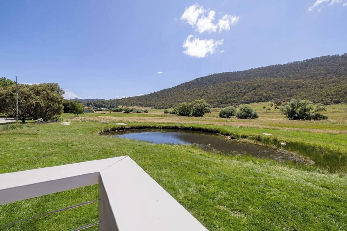 A grassy area with a small pond and a white structure in the foreground.