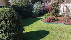 Ein gepflegter Garten mit Rasen, verschiedenen Sträuchern und einem Holzzaun.