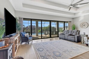 TV, DVD player, music library, video library