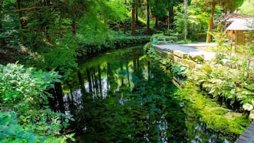 City view from property